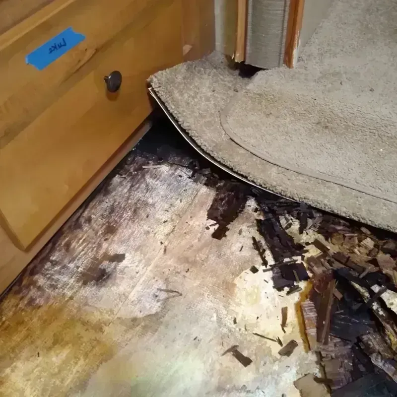 Best Wood Floor Water Damage Service in Grafton, MA